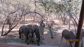 Gemsbok Place - Marloth Park - 7
