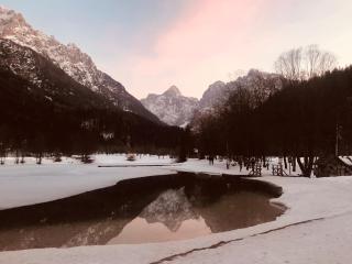 Apartma Anton - Kranjska Gora - 3