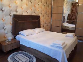 Central Baku Luxury Apartment on Nizami Street - Baku - 9