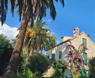 Villa Cindro House - Podstrana - 6