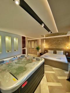 Spa Pleasure Apartman - Novi Sad - 9