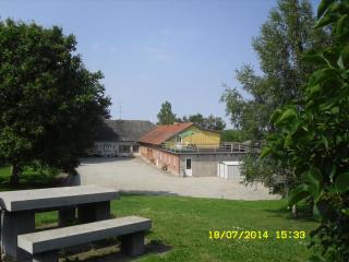 Bild 9