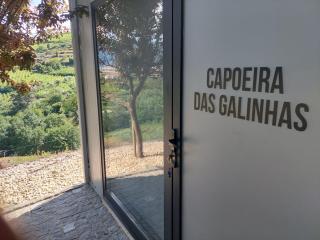 Quinta São José - Museu do Triciclo - Mesão Frio - 6