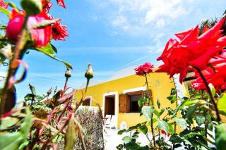 SOLEMAREPONZA Casa il Bacio del Sole - 7