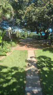 1 Cormoran - Durban - 5
