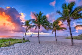 The Floranada Condo - Pompano Beach 19 - Pompano Beach - 1