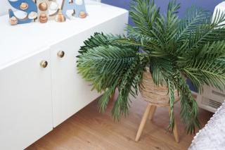 ROGA Apartment Valamar - 5