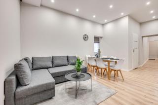 Central Platinum Apartments 29 - Rybnik - 9
