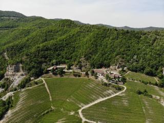 Cascina Bertolotto Wine Resort - Spigno Monferrato - 8