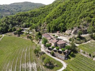 Cascina Bertolotto Wine Resort - Spigno Monferrato - 7