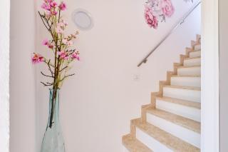 Apartment Kaleta - Sveti Jakov - 1