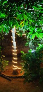 Oonjal Veedu-Renovated Recently - Kuttālam - 6