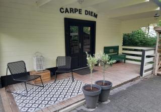 Carpe Diem, het ruime chalet met houtkachel nabij Wildlands Emmen - Schoonebeek - 9