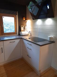Carpe Diem, het ruime chalet met houtkachel nabij Wildlands Emmen - Schoonebeek - 5