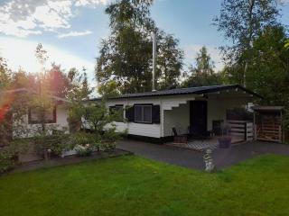 Carpe Diem, het ruime chalet met houtkachel nabij Wildlands Emmen - Schoonebeek - 4