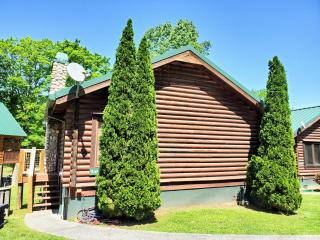 Free Tickets-Couples Riverfront Getaway Jetted Tub King Bed & Pet Friendly in Pigeon Forge - Pigeon Forge - 4