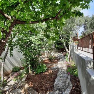Tara’s Apartman Supetar - Supetar - 8