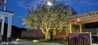 Apartment Sunrise Garden and Sea view - 5