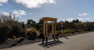 Salty Paws - Ocean Shores - 5
