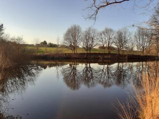 La maison d'Augusta - 8