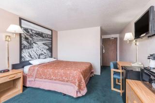 Glendive Lodge - Glendive - 4