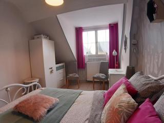 Maison de campagne rénovée avec jardin clos, proche Tours et grands sites du Val de Loire - FR-1-381-97 - Beaumont-la-Ronce - 7