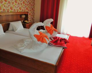 Hotel Silvia - Sankt Kanzian - 9