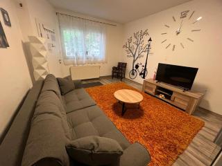 Apartman Dunav - PARKING - Self check in - Osijek - 5
