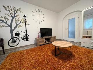 Apartman Dunav - PARKING - Self check in - Osijek - 7