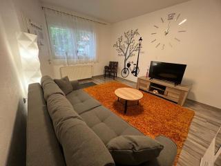 Apartman Dunav - PARKING - Self check in - 9