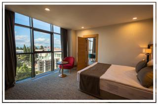 Premium Hotel Ganja - Ganja - 5