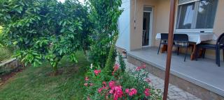 Danijela Apartment - Pula - 0