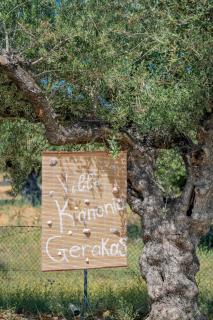 Villa Kanonia Gerakas - Vasilikos - 7