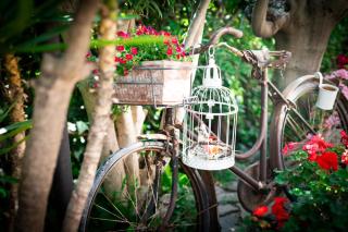 B&B DUE SORELLE - Sirolo - 2