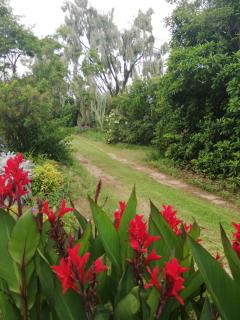 Ben Nevis Guest House - 9