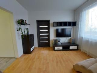 Apartmán Eva - plně vybavený byt - Týn nad Vltavou - Týn nad Vltavou - 2