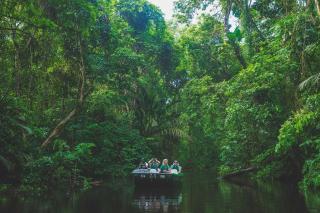 Tortuga Lodge - Tortuguero - 9