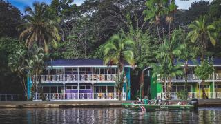 Tortuga Lodge - Tortuguero - 8