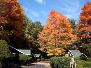 Amber Lantern Duplex Cottage - Lake George - 7