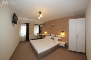Pension Cleopatra - Târgu-Mureş - 9