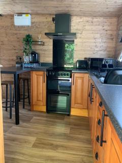 1 bedroom woodland cabin - Launceston - 6