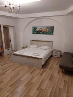 Poet Pastior Residence - Sibiu - 5