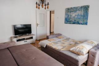 Apartment Bracovic - city center - 5