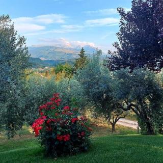 Bed & Breakfast Le Coccinelle - Rosciano - 4