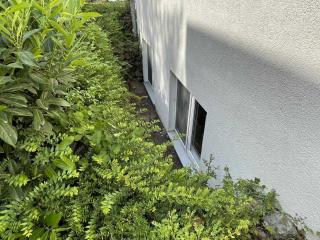 Haus Niedersachsen Apartment 12 - Timmendorfer Strand - 5