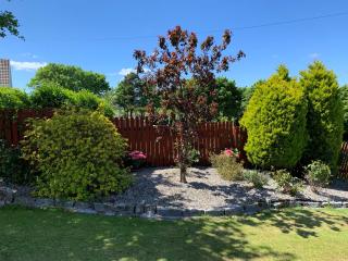 Kilcarragh House - Kilfenora - 9