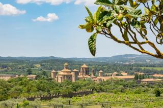 Finca La Capella - Poblet - 9