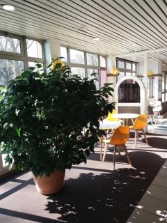 EGG HOTEL - HOTEL LES GENS DE MER Dieppe - Dieppe - 3