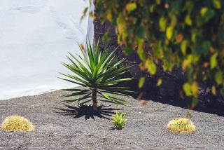 Villa Turquesa - Playa Blanca - 2