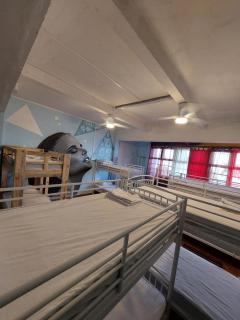 The GREEN Hostel - Pointe-à-Pitre - 3